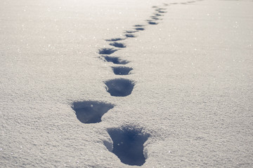 human footprints in the snow