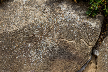 Rock paintings of ancient people in Gobustan