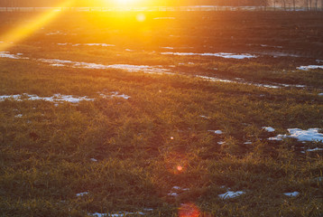 Sunlight in the early morning. Spring in the countryside. Early spring in Belarus, Polesie,