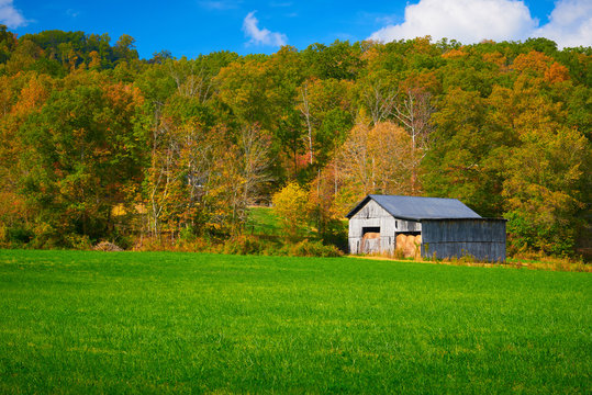 Hay Barn