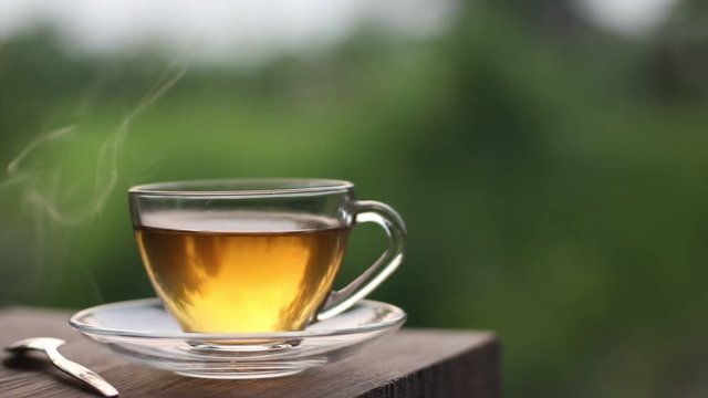 Hot tea with green garden outdoor in the evening