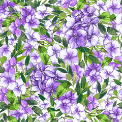 Vector seamless pattern, blooming purple, violet hydrangea and green foliage. Illustration with floral composition on a white background. Use in textiles, interior, wrapping paper and other design.