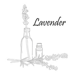 still life lavander