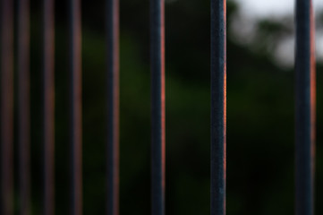 The last sunlight of the day falling on the railings.