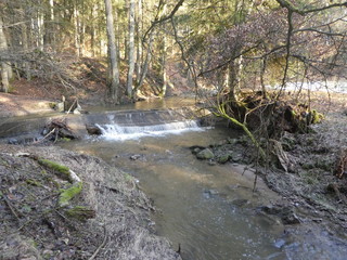 Naklejka na ściany i meble wild stream in winter in the forest 