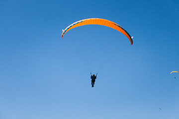 Naklejka na ściany i meble Paraglider Flying in Blue Sky on a Sunny Summer Day