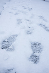 Fototapeta na wymiar Footprint on Snow