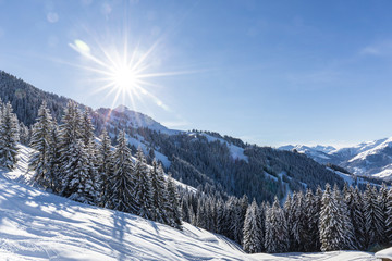 Winterlandschaft mit Ausblick auf verschneite Bäume unter blauem Himmel