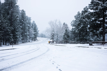 Road on the hill in winter