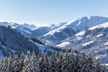 Winterlandschaft mit Ausblick auf verschneite Bäume unter blauem Himmel