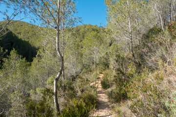 The mountains of the sierra de irta in Alcocebre