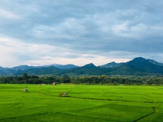 Green nature landscape paddy rice fields on mountains background with cloudy and the sky in the North of Thailand