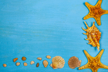 Border of seashells on a blue wooden background.