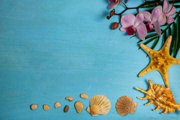 Orchid, seashells, starfish and leaf of palm