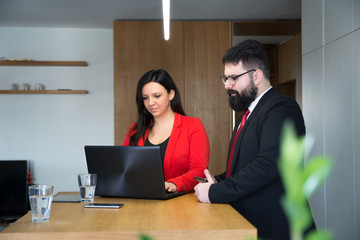 Business woman working on laptop with her elegant hipster colleague