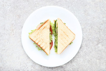 Tasty sandwiches with vegetables in plate