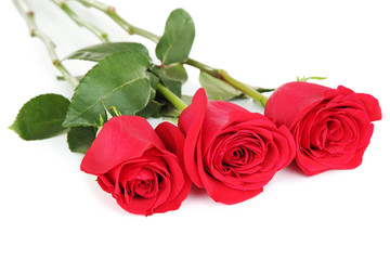 Bouquet of red roses isolated on white background