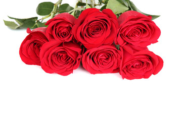 Bouquet of red roses isolated on white background