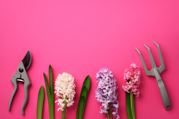 Garden pruner, rake, with flowers on pink punchy pastel background. Banner with copy space. Spring, summer or garden concept. Creative layout. Top view, flat lay