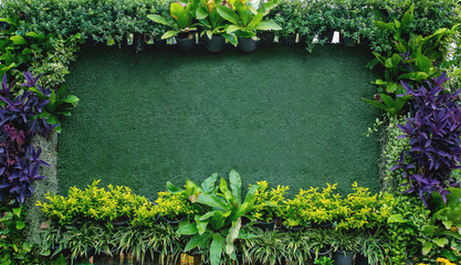 Green leaves and background for advertisements