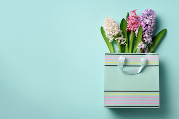 Fresh hyacinth flowers in shopping bag on blue punchy pastel background. Banner with copy space. Spring, summer, Woman day concept. Creative layout. Top view, flat lay.