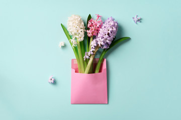 Spring hyacinth flowers in pink postal envelope over blue background with copy space. Top view, flat lay. Banner. Spring, summer or garden concept. Creative layout.