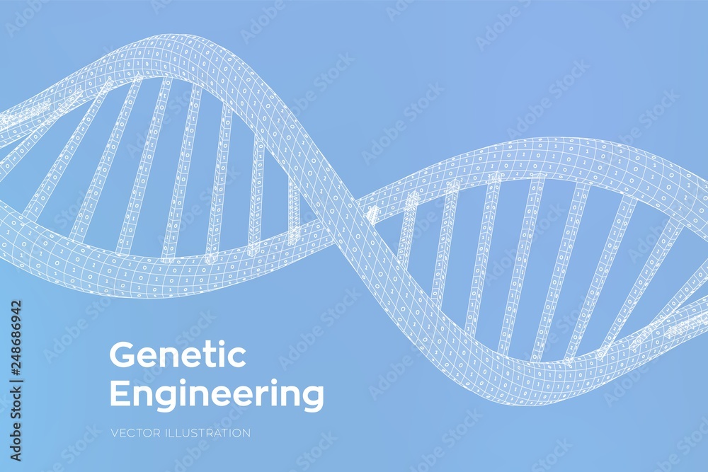 Wall mural DNA sequence. Concept binary code human genome. Wireframe digital DNA molecules structure mesh. Artifical intelegence DNA code editable template. Science and Technology concept. Vector illustration.