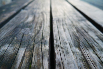 Fototapeta premium wooden plank