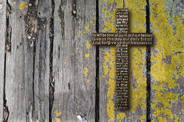 Old weathered wooden board with  green moss. Detailed  texture.