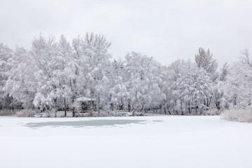 Wiinter beautiful landscape with trees covered with hoarfrost and snow.