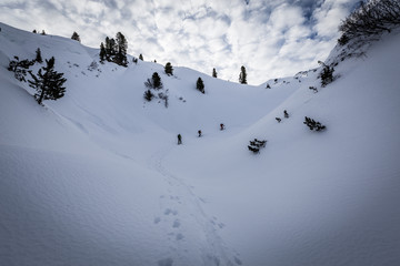 Gruppe Skitourengeher im Winter am Berg
