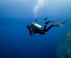 Relaxing diving moment 