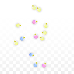 Vector Realistic Colorful Petals Falling on Transparent Background.  Spring Romantic Flowers Illustration. Flying Petals. Sakura Spa Design. Blossom Confetti. Design Elements for Wedding Decoration.