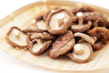 日本産の干し椎茸