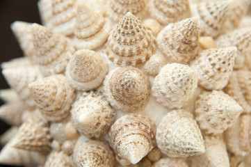 Bathroom Decor Macro