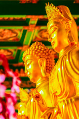 Obraz premium Beautiful Golden Bodhisattva statues in Chinese temple Thailand