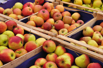 apples in wooden boxes at farmers market
