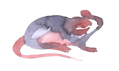 Mouse watercolour illustration. Funny icon of animal. Grey rat with pink ears isolated on white...