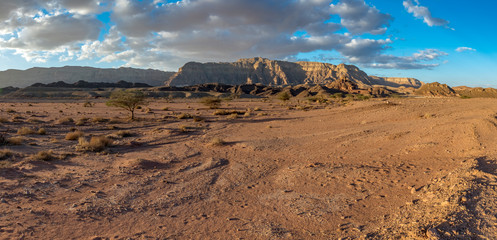 Geological formations in nature desert park of Timna, it is located 25 km north of Eilat (Israel) and combines beautiful scenery with unique geology, variety of sport and family activities