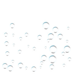 Bubbles on white background. Simple design, clear soapy shiny, vector illustration