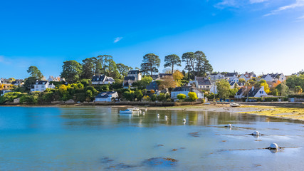 Brittany, Ile aux Moines island in the Morbihan gulf, the typical harbor and village, low tide  - obrazy, fototapety, plakaty