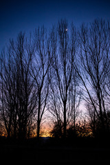 Vistas del parque al atardecer