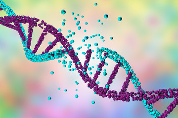 Destruction of DNA, damaged DNA, 3D illustration. Concept of disease, genetic disorder, genetic engineering