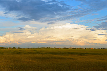 Obraz premium ekspresyjne niebo z chmurami nad polem w letni wieczór