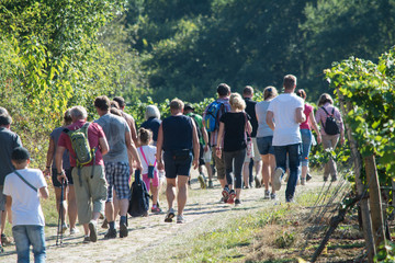 siefersheimer weinwanderung 2016