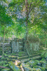 ベンメリア遺跡