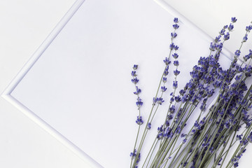 Branches of lavender and photo frame (mock-up). Lavender flowers on white background with copy...