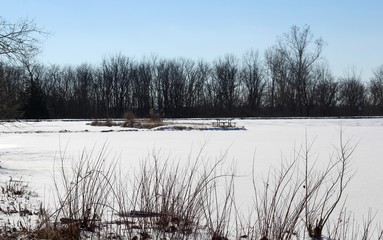 The frozen lake in the park on a bright sunny winter day.