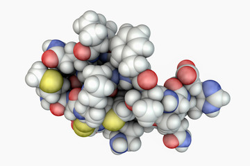 Molecule of scorpion chlorotoxin, 3D illustration. A peptide from venom of deathstalker scorpion Leiurus quinquestriatus, studied as a potential anticancer agent for treatment of brain cancer glioma