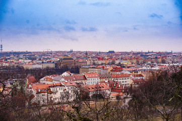 Fototapeta na wymiar Petrin gardens and houses in the historical center of Prague. Overcast weather